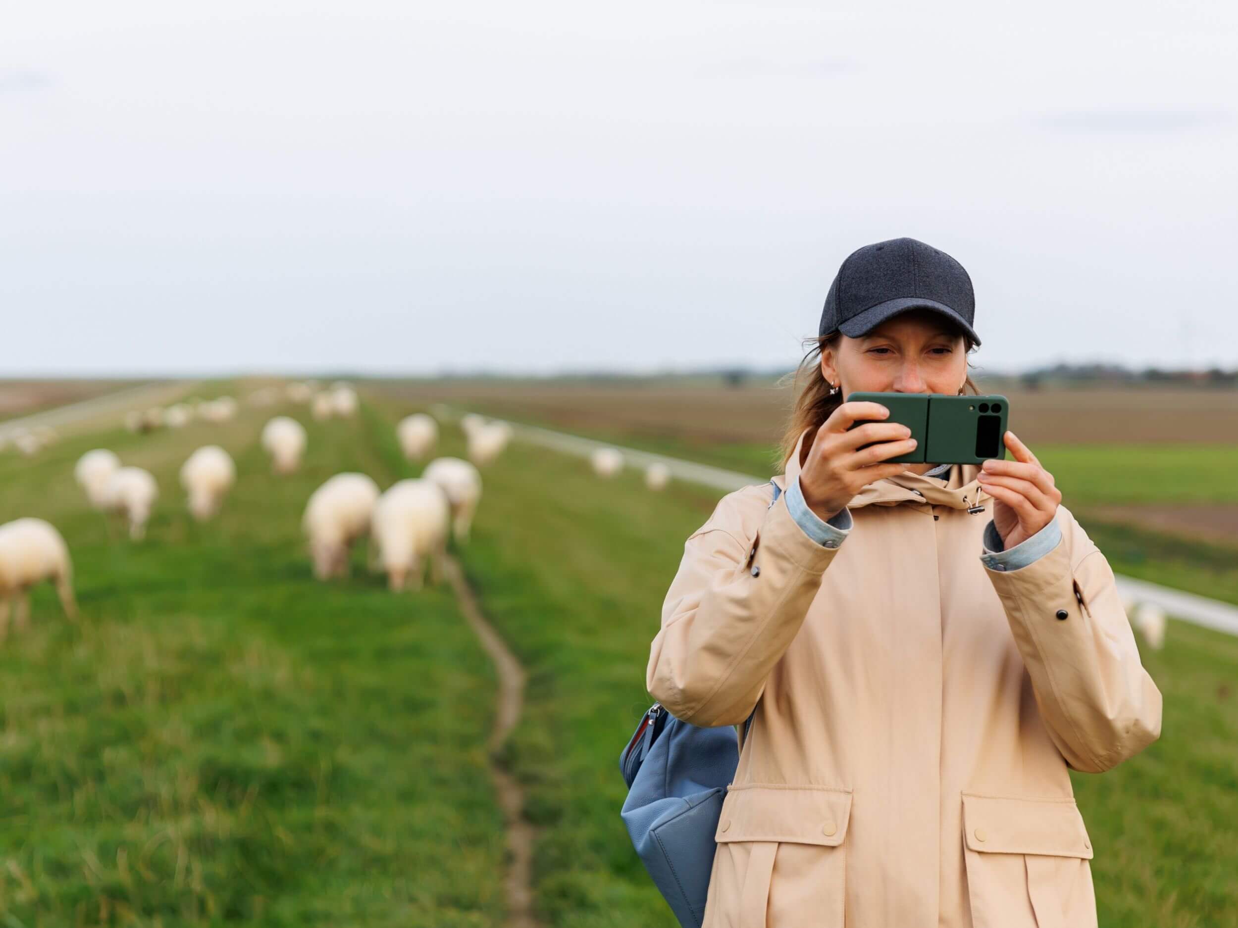Digital in der Urlaubsregion Eine Frau fotografiert auf einem Deich Schafe.