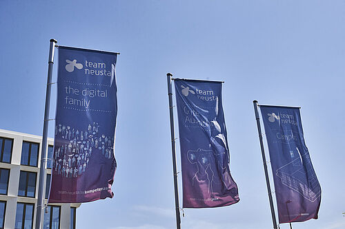 Drei team neusta Fahnen