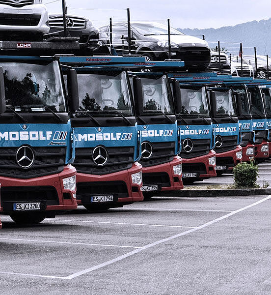 Ein LKW-Park mit geladenen PKW