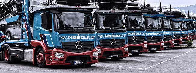 Ein LKW-Park mit geladenen PKW