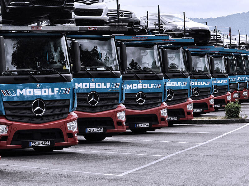 Ein LKW-Park mit geladenen PKW