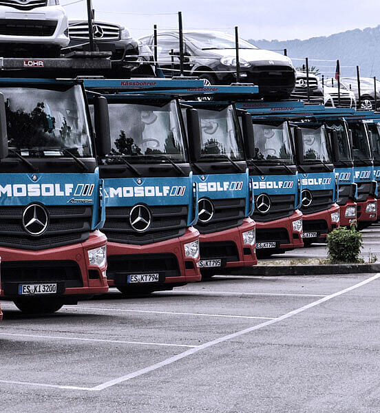 Ein LKW-Park mit geladenen PKW