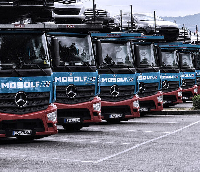 Ein LKW-Park mit geladenen PKW