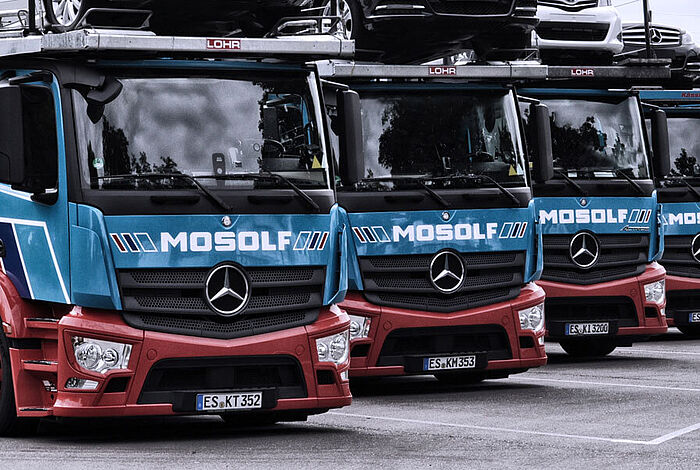 Viele LKW's hintereinander.