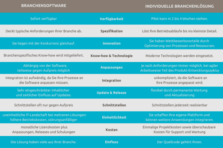 Tabellarischer Vergleich von Branchen- und Individualsoftware