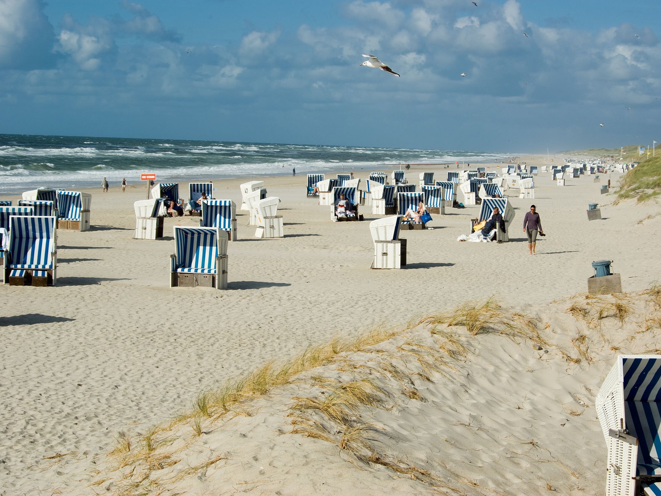 Strandkörbe am Nordseestrand Blau-weiße Strandkörbe am Nordseestrand mit Dünen