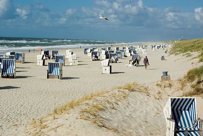 Blau-weiße Strandkörbe am Nordseestrand mit Dünen