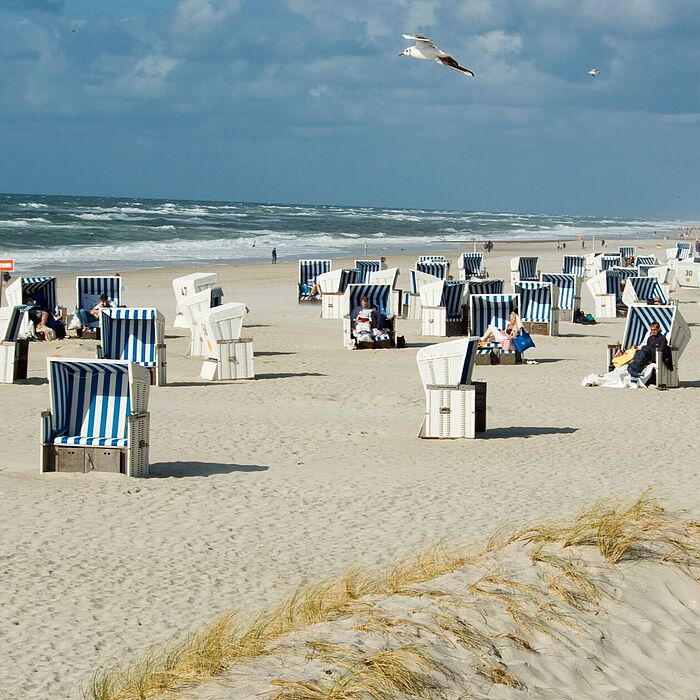 Blau-weiße Strandkörbe am Nordseestrand mit Dünen