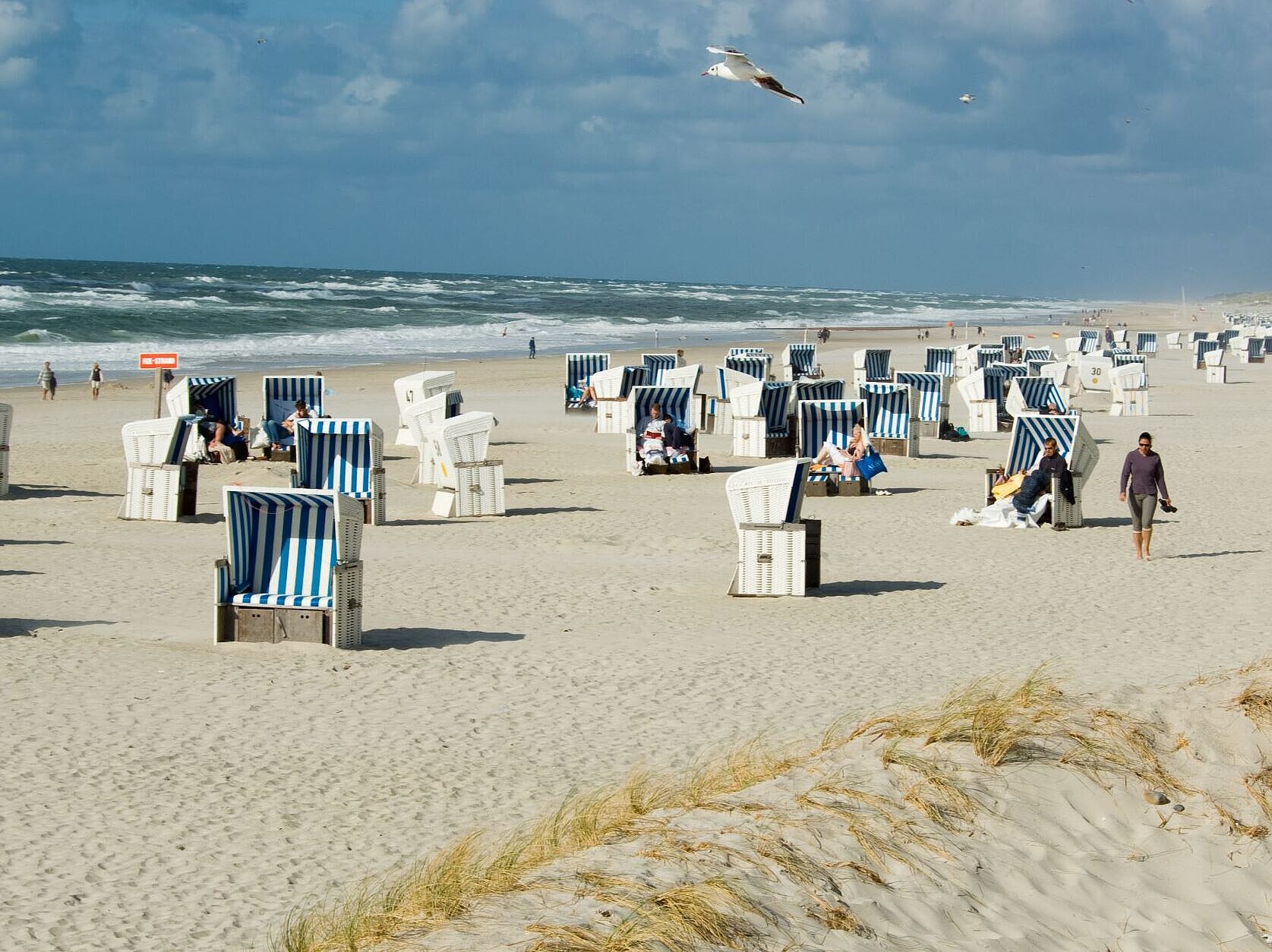 Strandkörbe am Nordseestrand Blau-weiße Strandkörbe am Nordseestrand mit Dünen